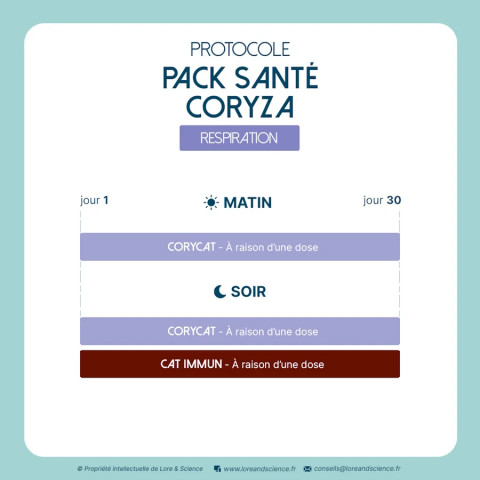 Pack Santé Coryza - Soutien immunitaire contexte viral chat