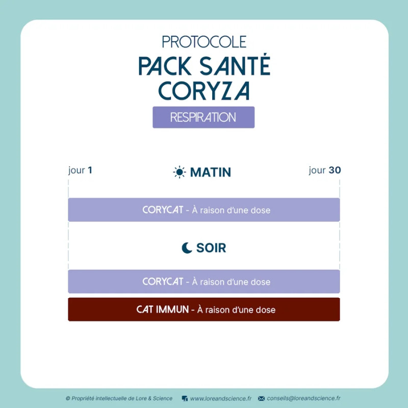 Pack Santé Coryza - Soutien immunitaire contexte viral chat