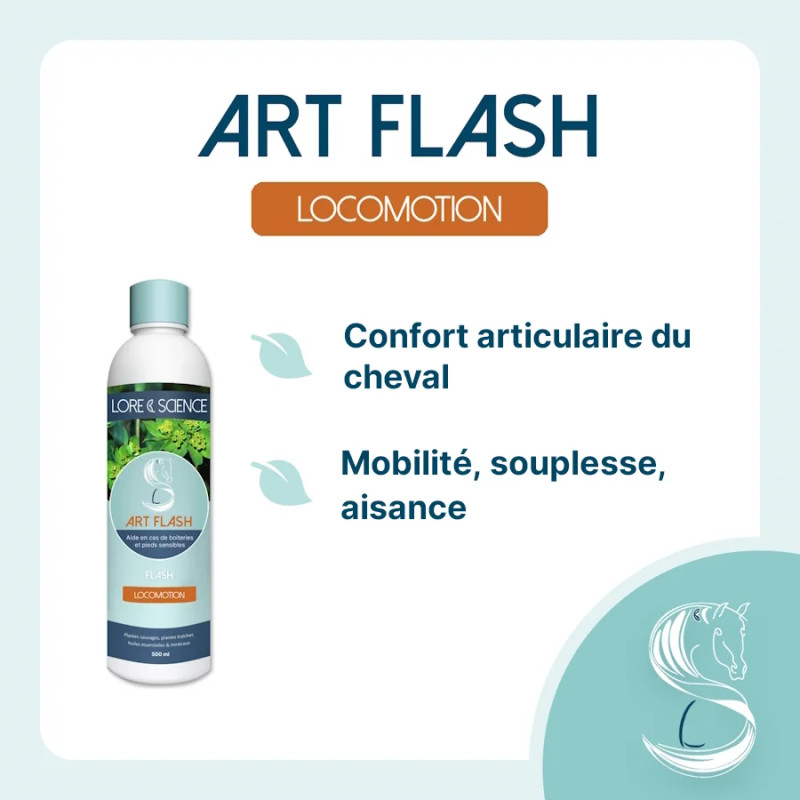 Art Flash - Articulations et pieds sensibles du cheval