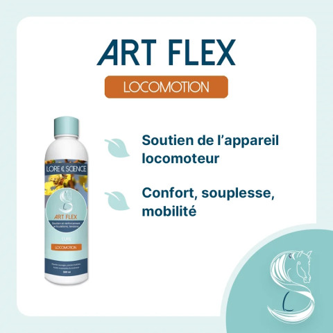 Art Flex - Cartilages et tendons du cheval