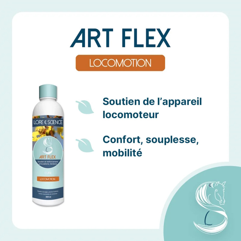 Art Flex - Cartilages et tendons du cheval