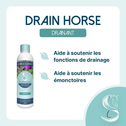 Drain Horse - Soutien fonctions naturelles d'élimination cheval