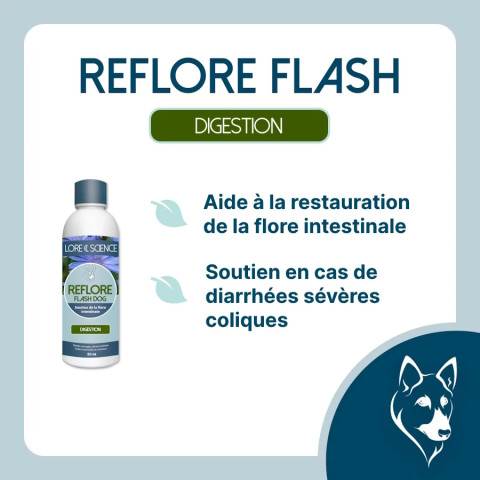 Reflore Flash Dog - Soutien flash flore intestinale du chien