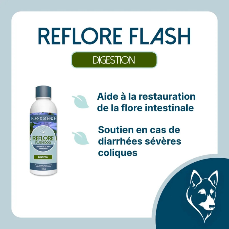Reflore Flash Dog - Soutien flash flore intestinale du chien
