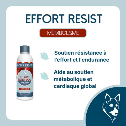 Effort Resist Dog - Énergie et endurance à l'effort du chien