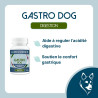 Gastro Dog - Soutien gastrique, digestif chien